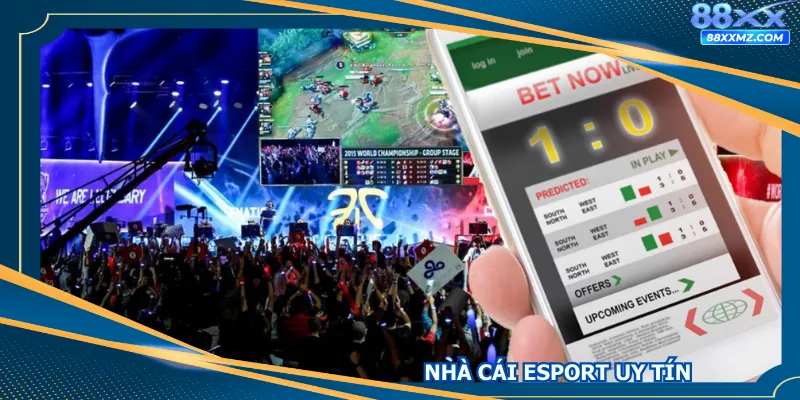 Nhà Cái Esport Uy Tín - Top Lựa Chọn Hàng Đầu Năm 2025